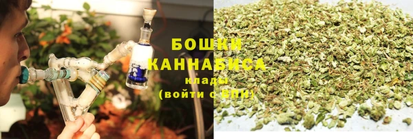 СК Аркадак