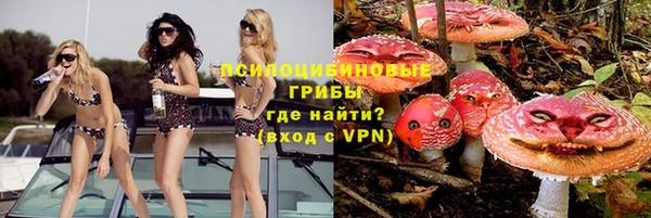 амф Арсеньев