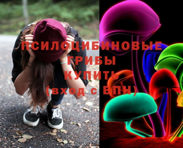 амф Арсеньев