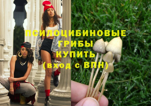 амф Арсеньев